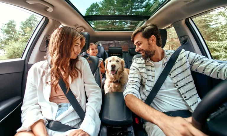 Tips voor een zorgeloze vakantie met je hond