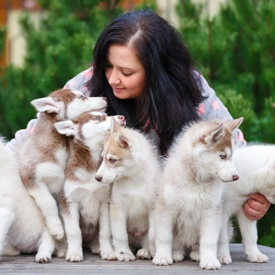 welke hond past bij mij